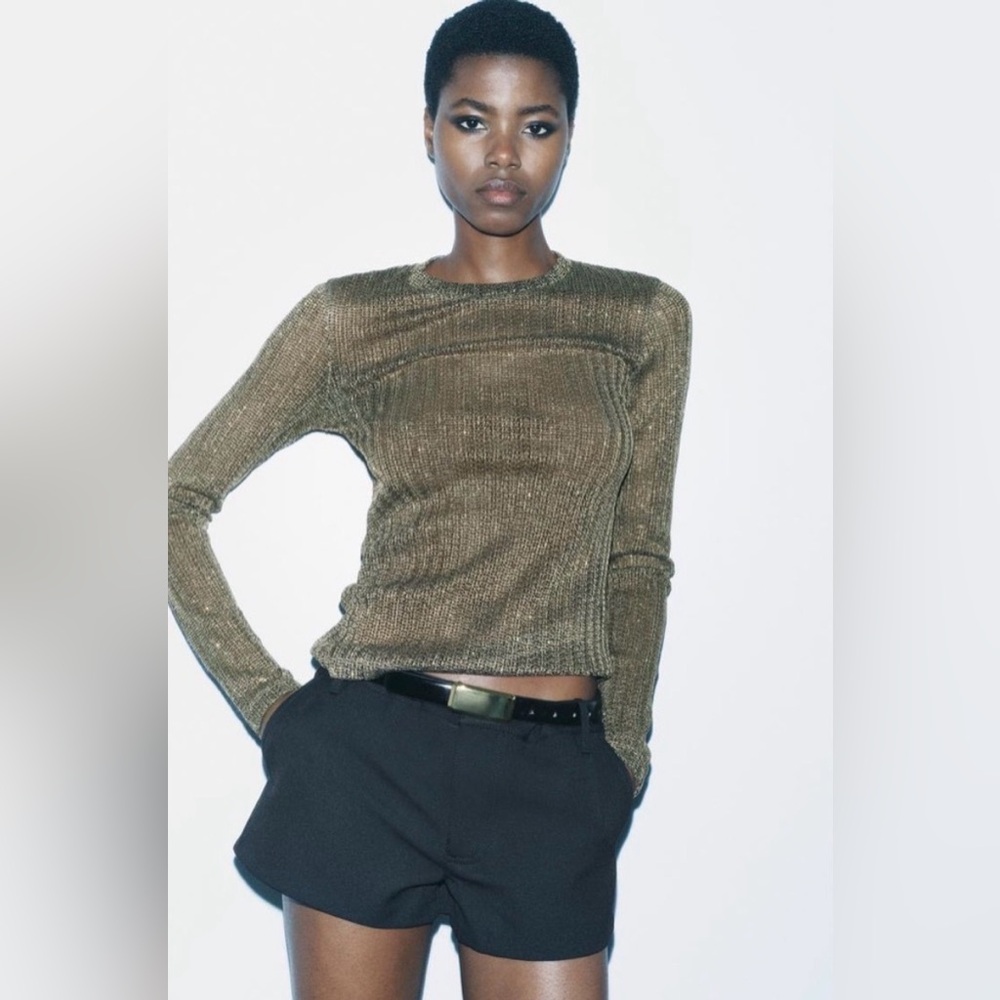 Zara Metallic Gold Thred Sheer Long Sleeve Knit Top